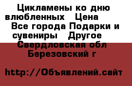 Цикламены ко дню влюбленных › Цена ­ 180 - Все города Подарки и сувениры » Другое   . Свердловская обл.,Березовский г.